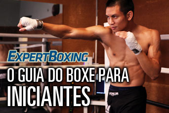 O Guia do Boxe para INICIANTES